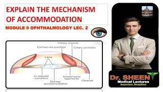 EXPLAIN THE MECHANISM OF ACCOMMODATION [upl. by Aylad]