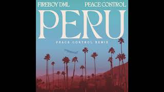 Fireboy DML  Peru Peace Control Remix [upl. by Knowling736]