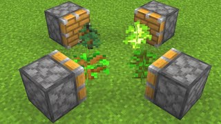 Ultimate Sapling Combination in Minecraft Growing Every Tree [upl. by Evangelist369]