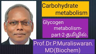 Glycogen metabolism Part2 in tamil Muralis Simplified Biochemistry [upl. by Matronna992]