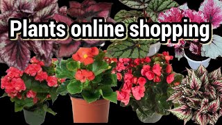 Plants online shopping  unboxing online plants [upl. by Enaek]