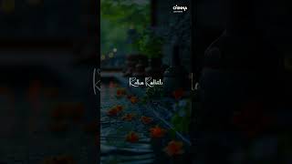 Shyam Singha Roy Movie Sirivennela Song WhatsApp Status Lyrics nani saipallavi [upl. by Rachael]