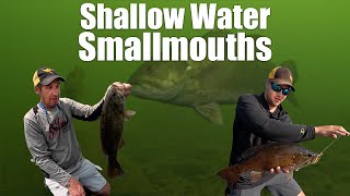 Catching Shallow Water Smallmouth Bass [upl. by Nyrehtac]