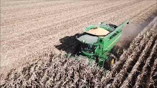 DICKHAUS FARMS SHELLING CORN EATON OH NOV 9TH 2023 JD S670 COMBINE JD 8285R TRACTOR KILLBROS 1150 [upl. by Jaret]