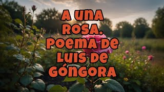 A una rosa Poema de Luis de Góngora [upl. by Dominik]