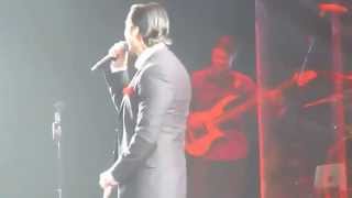 Alejandro Fernandez Miente Luna Park Buenos Aires 2014 [upl. by Debbie933]