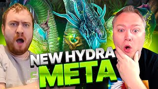 NEW HYDRA DPS META Raid Shadow Legends [upl. by Adian158]