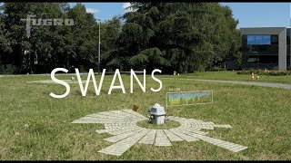 Fugros 3D Passive Seismic Solution SWANS™ [upl. by Twitt113]