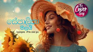 Sepalika Malai සේපාලිකා මලයි thecoverguy srilanka [upl. by Asum]