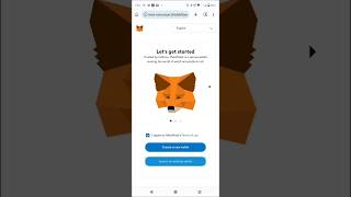 MetaMask Extension Wallet on Your Phone Easy Guide  By Telegram Community Member [upl. by Oates624]