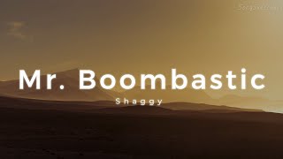 Shaggy  Mr Boombastic Lyrics [upl. by Wolfgram]