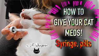 HOW TO GIVE YOUR CATS MEDS syringe pills [upl. by Llehsar]