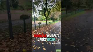 Zivot Vo Germanija nema rabota [upl. by Liuka]