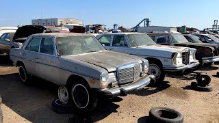 Mercedesapalooza in the Junkyard A bevy of JUNKED Mercedes sedans of all vintages [upl. by Anrat55]