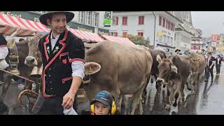 Entlebucher Alpabfahrt 2024 Schüpfheim LU 🇨🇭 [upl. by Omiseno]