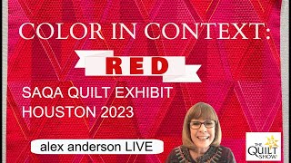 Alex Anderson LIVE SAQA Quilt Exhibit  Houston 2023 [upl. by Prem196]