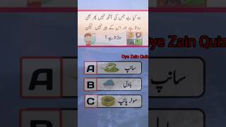 Oye Zain Quiz 💯sky snex jaguyar quiz oyezainquiz uttor sabal jabab iq test islamicquizs [upl. by Diba]