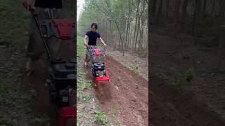 Gearless Power Weeder  High Quality Petrol Engine india youtubeshorts farming [upl. by Niltyak]