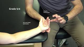 Manual Muscle Test for Metacarpophalangeal Flexion [upl. by Enirehtacyram]