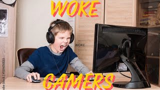 Modern Gamers are WOKE [upl. by Pardoes850]