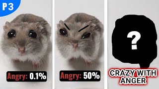 Sad Hamster Becomes Angry [upl. by Gurango]