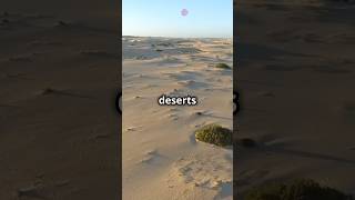 Unveiling the Secrets of the World’s Deserts ai facts desert [upl. by Gatias615]