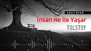 İNSAN NE İLE YAŞAR  TOLSTOY Seslendiren Nisan Kumru [upl. by Eidok]