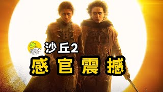 《沙丘2》觀後感，沒做功課能看懂吗？  沙丘：第二部  微雷影評  哇薩比抓馬Wasabi Drama 沙丘2 dune2 [upl. by Puett]