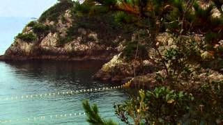 The Cove  Official® Trailer HD [upl. by Fasto]