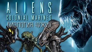 БИОЛОГИЯ ЧУЖИХ ИЗ ИГРЫ ALIENS COLONIAL MARINES [upl. by Ydnam]