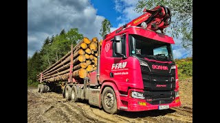 🌲 SCANIA V8 • Scania R580 V8 • LangholzLKW • TimberTruck • LongVehicle • V8 Sound • Pfau • Truck🌲 [upl. by Ortensia344]