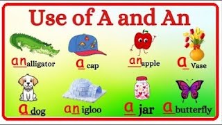 Use of AampAn  Indefinite Article [upl. by Steck416]