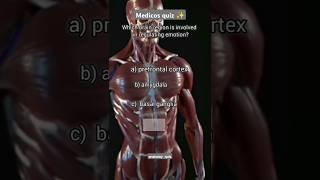 Anatomy important quiz 😊shortsviralvideos [upl. by Delcine109]