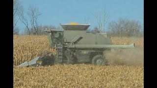 Corn harvest 2023 Gleaner Combines with Drago 6 amp 12 row heads  Lehigh Valley Pa [upl. by Ahtebbat]