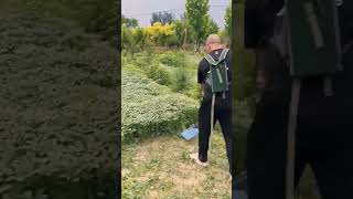 Cutting green grass with smart tools operated by farmers satisfying shorts [upl. by Alyahc]