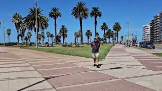 Rambla Republic de Perú to Rambla Mahatma Gandhi 🇺🇾 [upl. by Franckot]