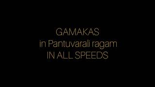 GAMAKAS Tutorial for Pantuvarali [upl. by Greenland]