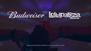 Budweiser X Lollapalooza Argentina 2024 [upl. by Ikkaj]