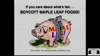 Boycott Maple Leaf Foods Bumper  1997 [upl. by Hgielac9]