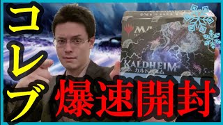 カルドハイム コレクターブースターボックスぼっち爆速開封 〜 KALDHEIM 〜 【MTG】 [upl. by Adaliah996]