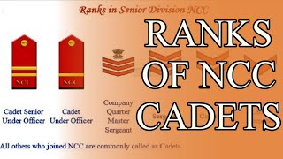 Ranks of NCC Cadets [upl. by Waring689]