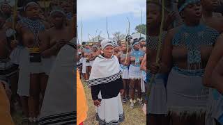 Mpondo Reed Dance 2024 Lwandlolubomvu Great Place Ntabankulu [upl. by Jobi]