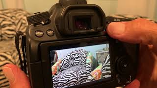 How to record video clips on your Canon 80D SLR Camera [upl. by Niltag263]