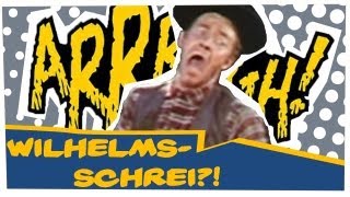 Was ist der WILHELM SCREAM  Moviepilot Filmwissen [upl. by Gavrielle171]