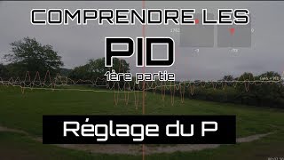 Comprendre les PID 1  Réglage du P exemples Blackbox  Betaflight [upl. by Hightower]