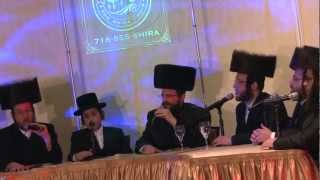 Yisroel Werdyger With Shira Choir  Sheyibane Beis Hamikdash [upl. by Airom]