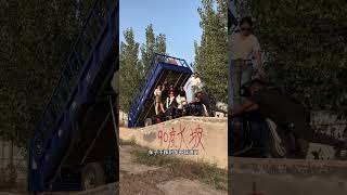 tricycle helps rural areas and rural areas Douyin helps farmersdumping [upl. by Boone661]