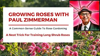 A Neat Trick For Training Long Shrub Roses [upl. by Silva422]