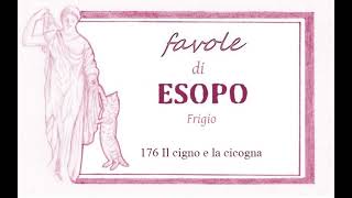 Favole di Esopo Frigio  176  Il cigno e la cicogna [upl. by Eirrot]