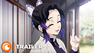 Demon Slayer Kimetsu no Yaiba Lentraînement des piliers  TRAILER VOSTFR [upl. by Anitsirc732]